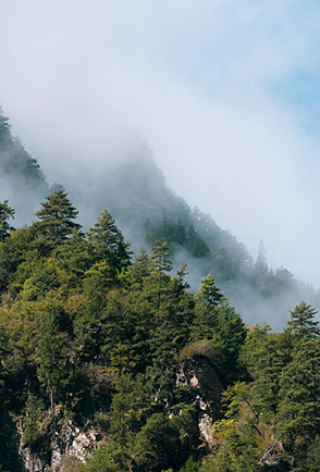 Savings of more than 2800 kilos of CO2.